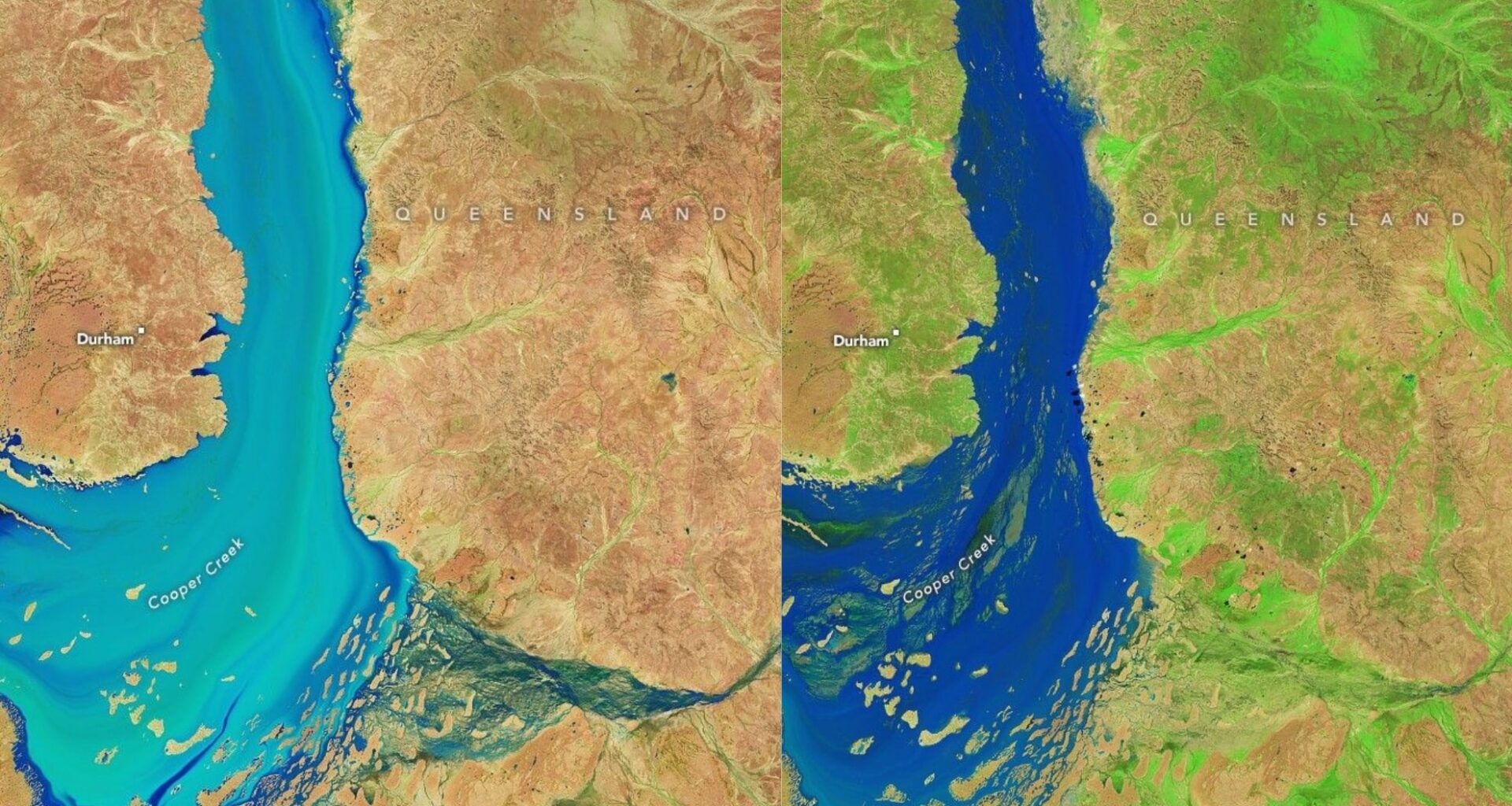 Heavy Rain In Queensland Sent Floodwaters Coursing Through The Australian Outback. Carpets Of Green Emerged In Their Wake