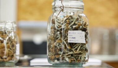 St. Joe’s launches research centre with goal of creating guidelines for medicinal psychedelics