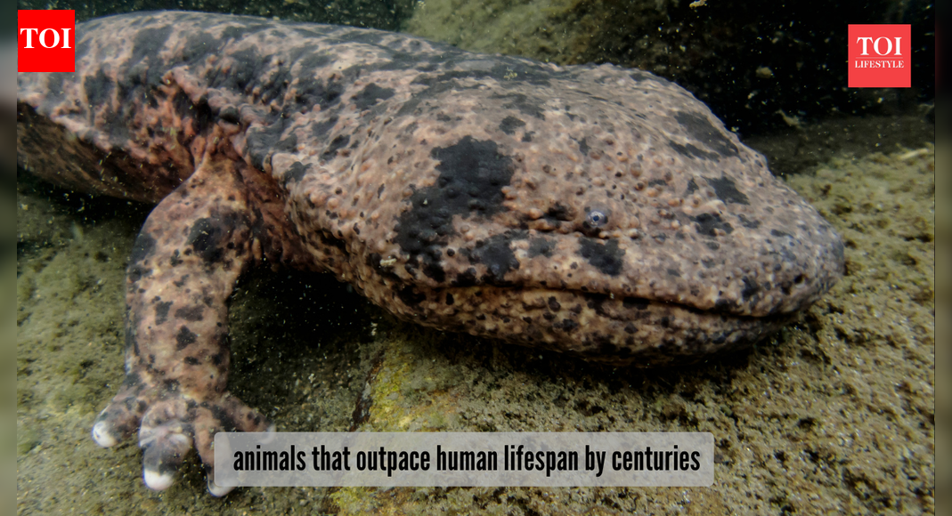 ​5 animals that live centuries longer than humans​