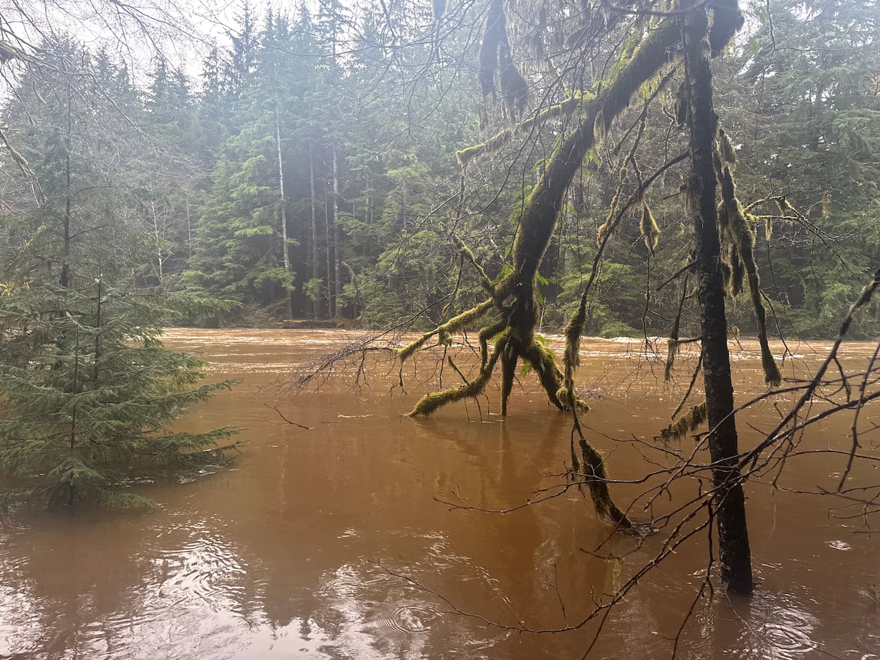 A visibly swollen water body with muddy water on a cloudy day.