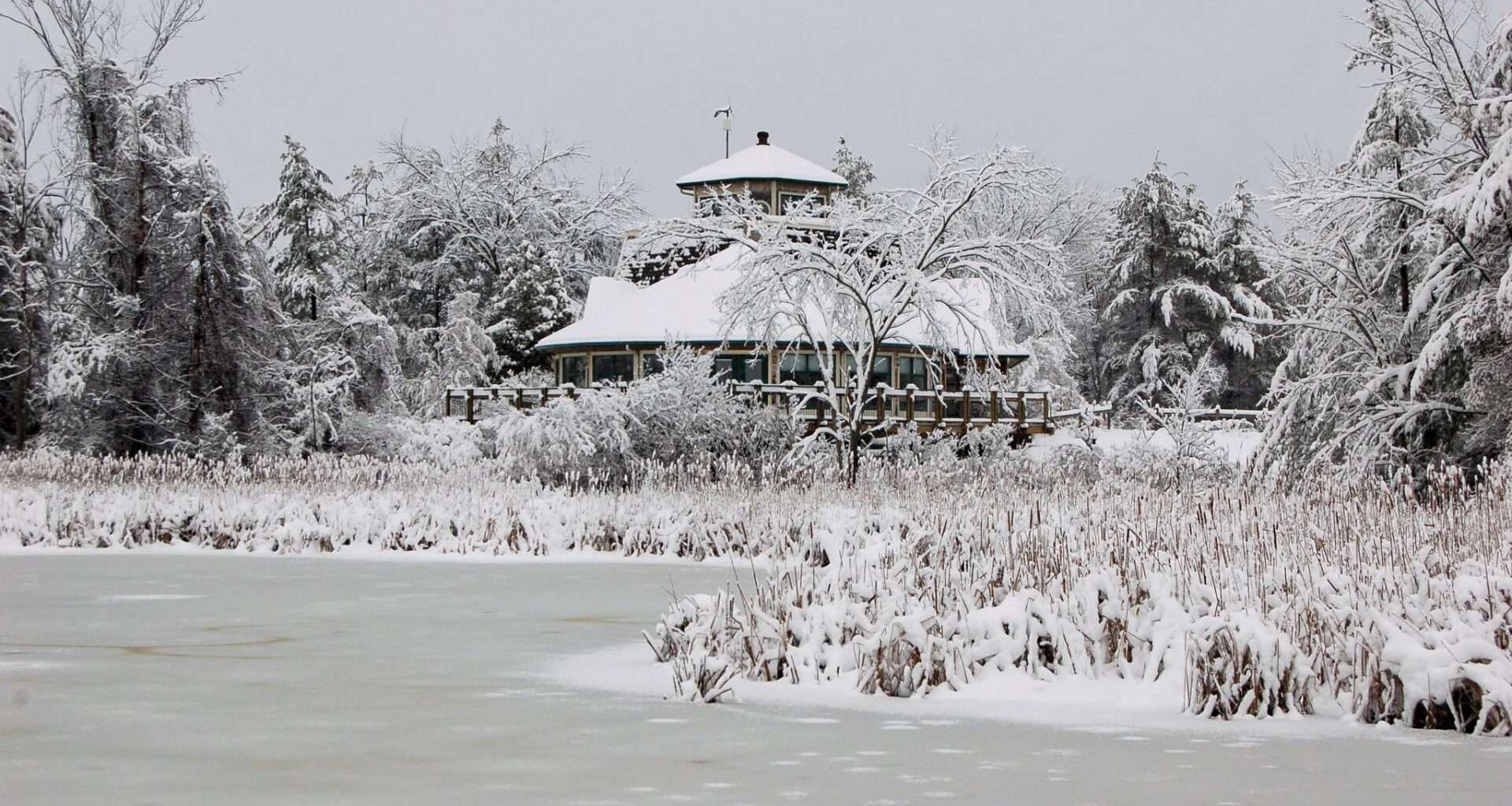 Kingston slams ‘forced’ merger of Ontario’s conservation authorities