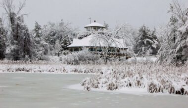 Kingston slams ‘forced’ merger of Ontario’s conservation authorities