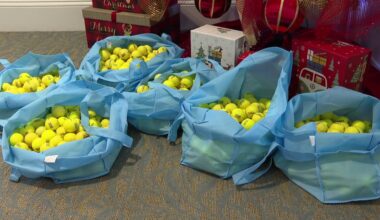 Hillsborough working with golf course on solutions after assisted living facility inundated with golf balls