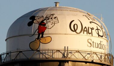 Disney to pay $10m over alleged breaches of US child privacy laws | Privacy