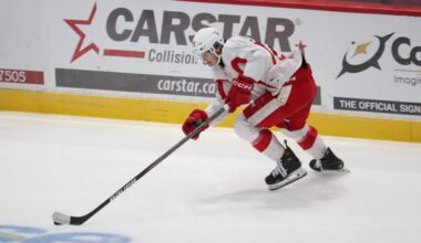Greyhounds captain ready to fight for gold at world juniors