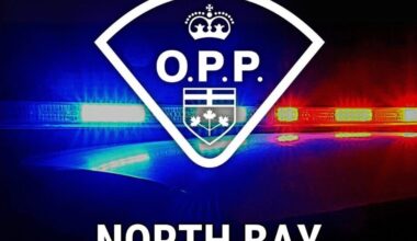 Police arrest driver after fleeing scene of intimate partner violence in East Ferris