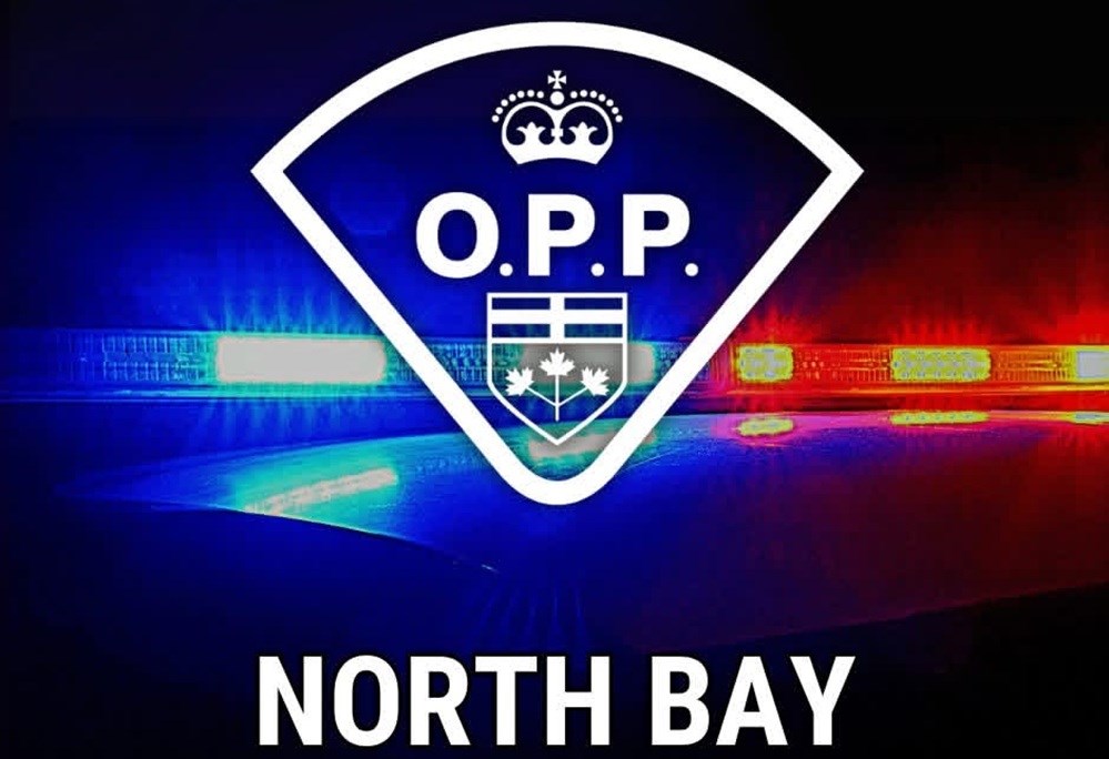 Police arrest driver after fleeing scene of intimate partner violence in East Ferris