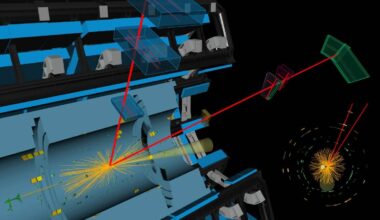 Higgs decay to muon–antimuon pairs sheds light on the origin of mass – Physics World