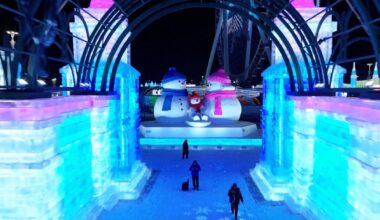 Stunning sculptures shine at China's largest ice-snow park - news.cgtn.com