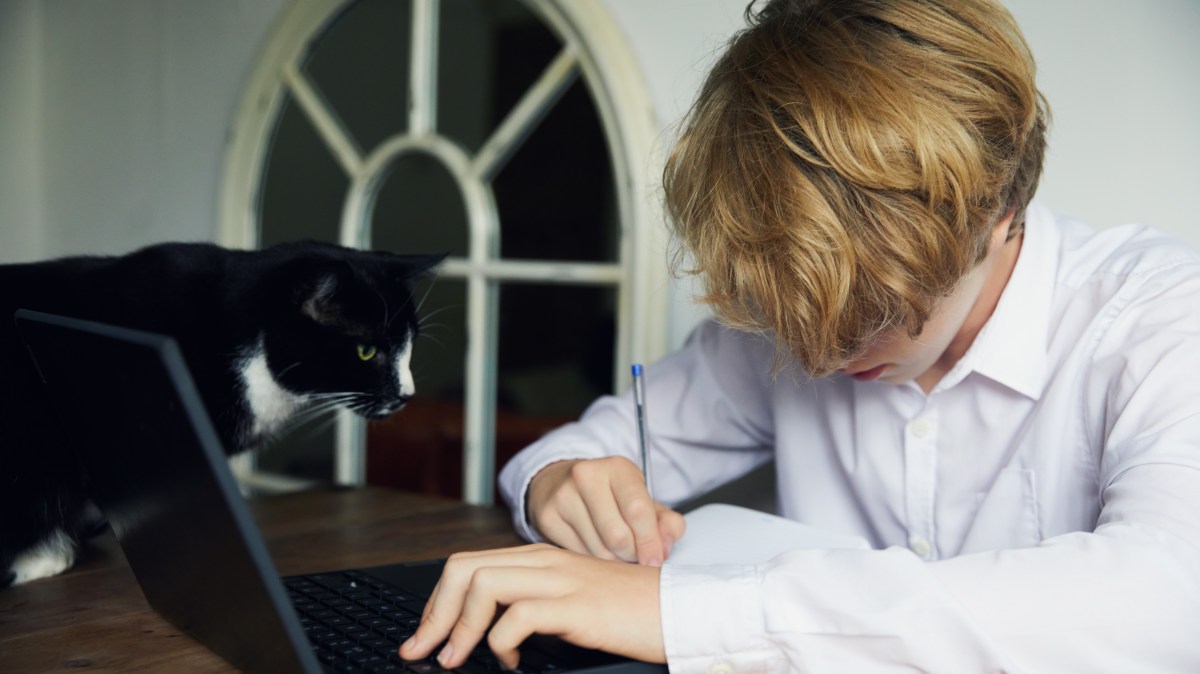 Half of secondary pupils avoid school due to anxiety