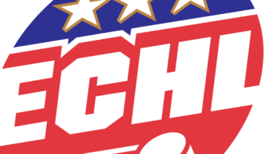 ECHL postpones 13 games after players go on strike