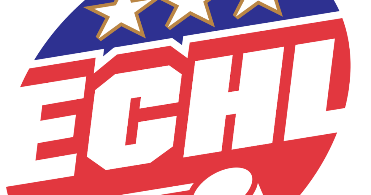 ECHL postpones 13 games after players go on strike