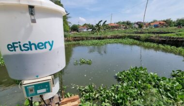 Collapse of eFishery haunts Indonesia’s startup scene