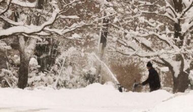 Here are the new laws and rules for Ontario starting in the new year