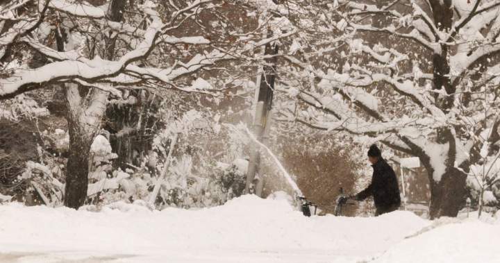 Here are the new laws and rules for Ontario starting in the new year