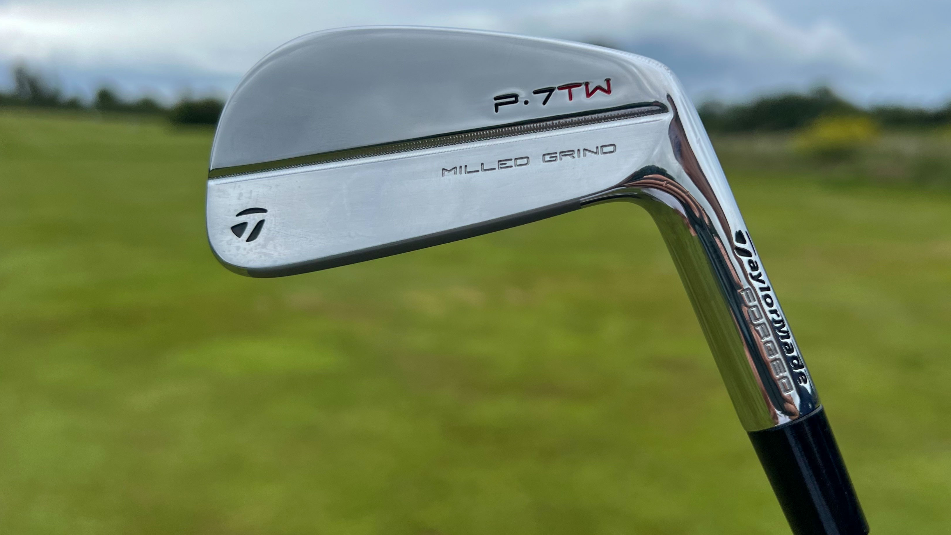 Photo of the TaylorMade P7TW iron