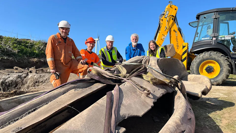 Five people kneel - three wearing hi-vis jackets and hard hats - beside the skull of a whale head. There is a yellow digger on the background.