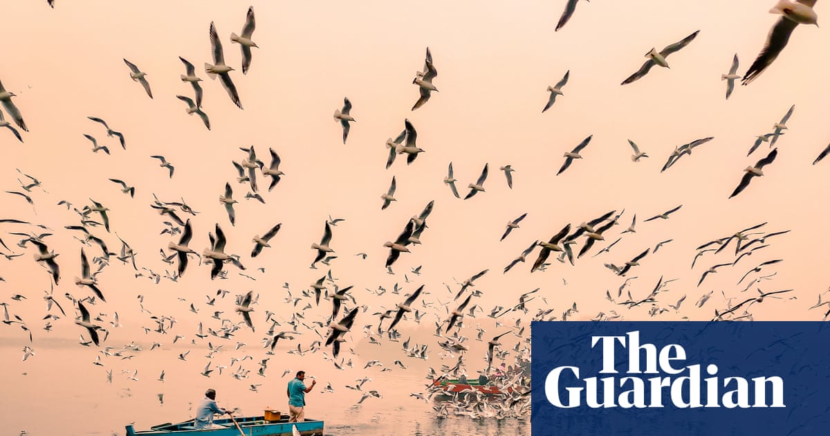 ‘The foggy, golden sunrise makes for incredible images’: Sachin Ghai’s best phone picture | Photography