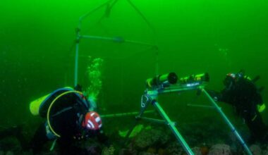 Sounds fishy: B.C. biologists use AI to identify and decipher fish sounds