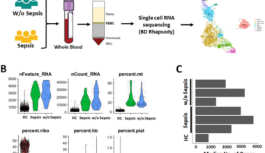 Single-cell RNA transcriptomics divulged altered gene expressions in monocytes and HLA variations in decompensated cirrhosis patients with sepsis