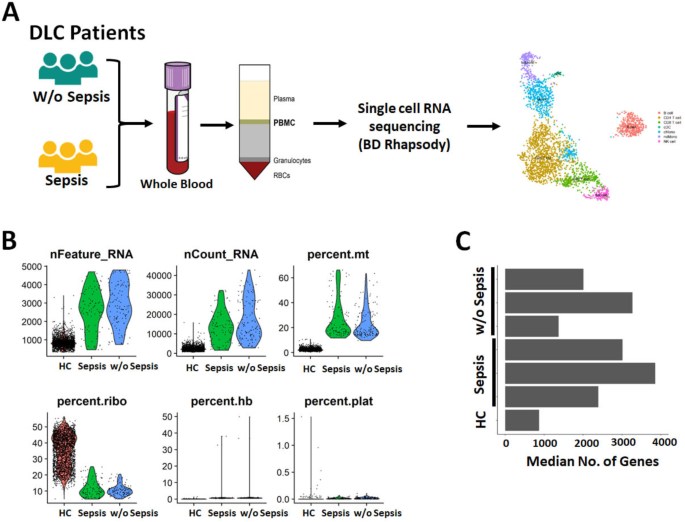 Single-cell RNA transcriptomics divulged altered gene expressions in monocytes and HLA variations in decompensated cirrhosis patients with sepsis
