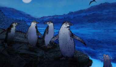 Even in danger, animals can’t skip sleep, studies show