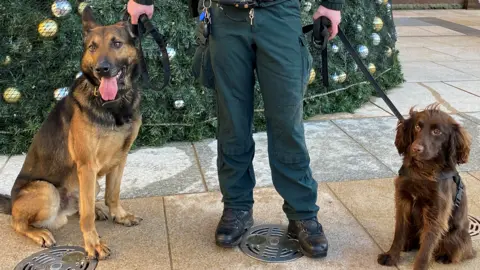 PSNI Two dogs sit at either side of a police officer who is seen from the waist down. the officer is wearing the green uniform of the PSNI. On the left is a German shepherd, and on the right is a cocker spaniel. In the background is a large decorated Christmas tree
