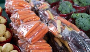 Ottawa pushes toward scrapping ban on single-use plastic exports