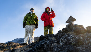 Is a Canadian defence giant possible?