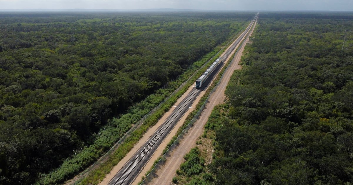 Interoceanic Train derails in southern Mexico, killing at least 13 and injuring dozens - CTV News