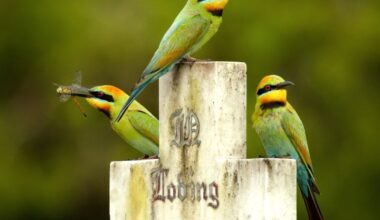 Reader’s wildlife photos – Why Evolution Is True