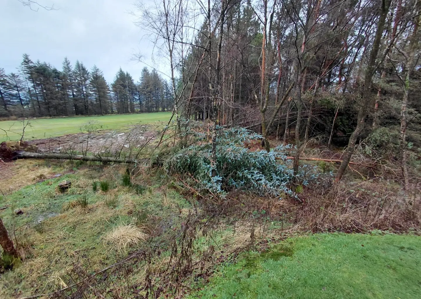 Cathkin Braes Golf Club shares winter course maintenance update