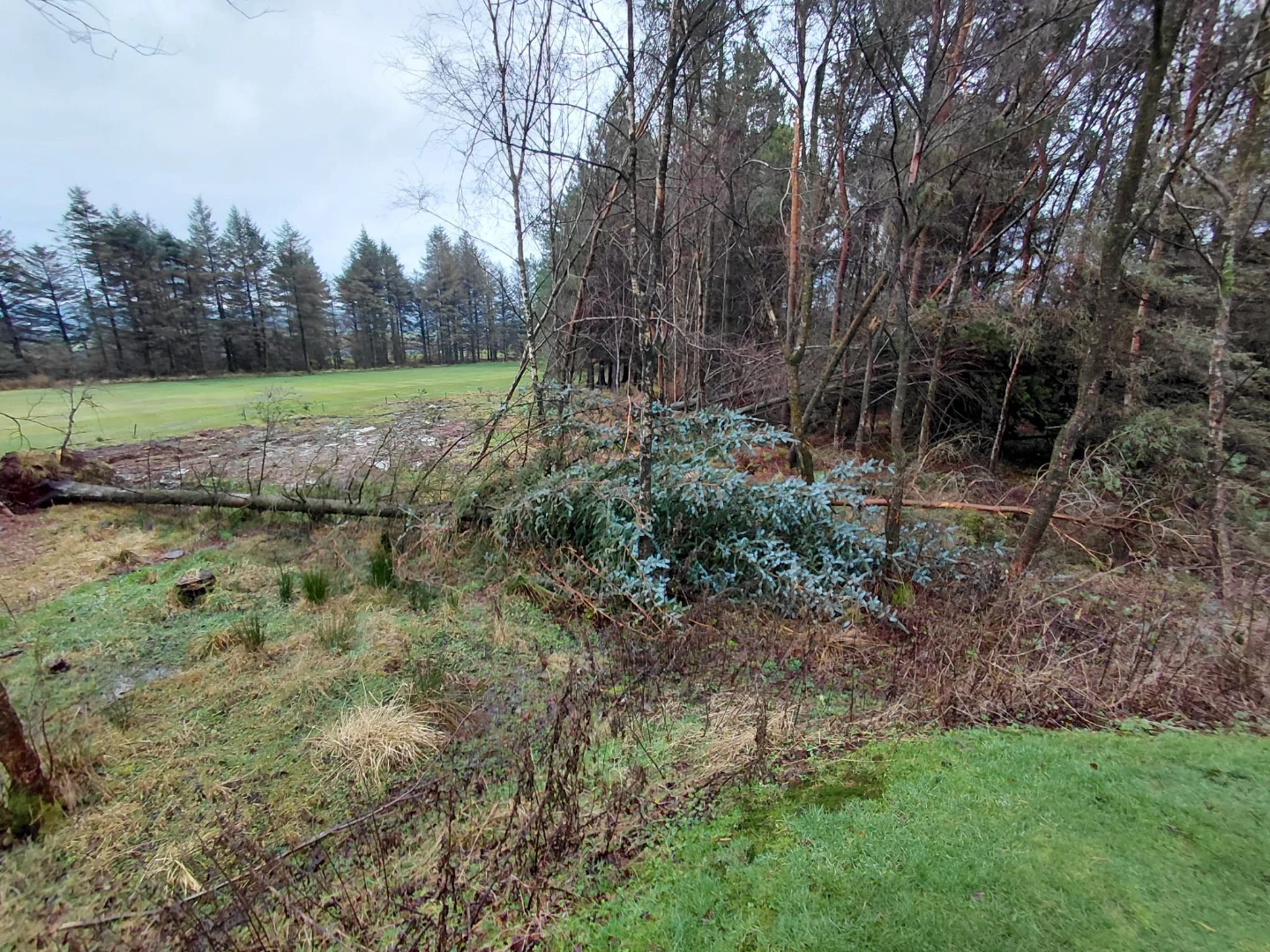 Cathkin Braes Golf Club shares winter course maintenance update Cathkin Braes Golf Club shares winter course maintenance update