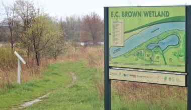 ‘We need to be on record’: Pelham gives province’s conservation authorities overhaul thumbs-down - St. Catharines Standard