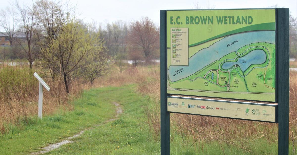 ‘We need to be on record’: Pelham gives province’s conservation authorities overhaul thumbs-down - St. Catharines Standard
