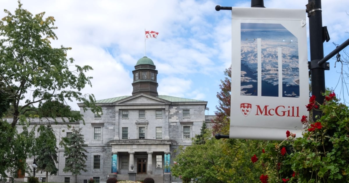 ‘An absolute gut punch’: University cuts ripple through Canadian campuses - CTV News