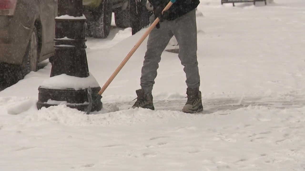 Click to play video: 'Heavy snowfall coats roads in Edmonton as winds wreak havoc in central Alberta'