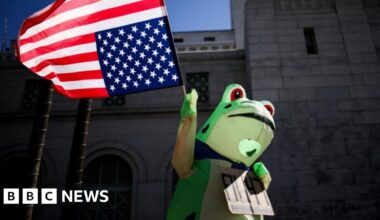 How frogs went from right-wing meme to anti-ICE protest symbol