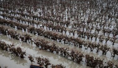 Blizzards, brutal cold, flooding in the forecast: 6 provinces, 2 territories under weather warnings - CTV News