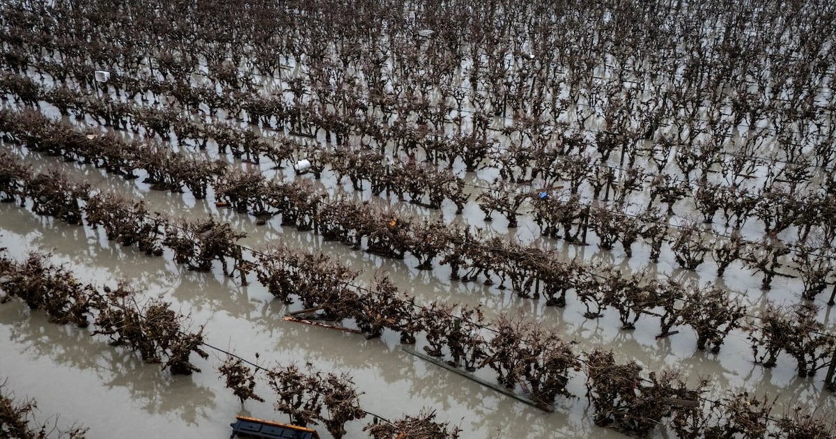 Blizzards, brutal cold, flooding in the forecast: 6 provinces, 2 territories under weather warnings - CTV News