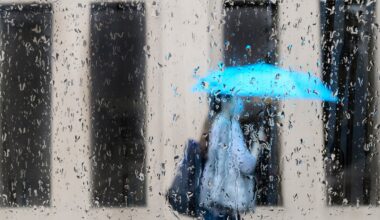 Heavy rain, freezing rain and strong winds