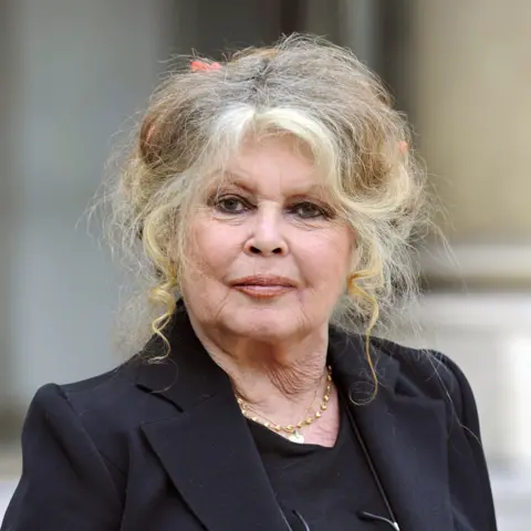 Gilles BASSIGNAC/Gamma-Rapho via Getty Images Brigitte Bardot pictured outside the Elysee Palace, wearing a black suit and with her mass of blonde hair slightly greying.
