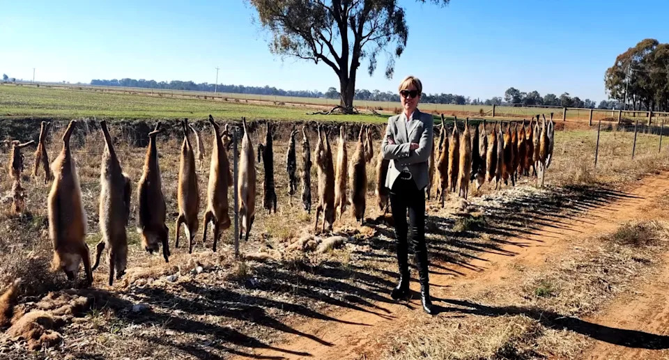 Helen Dalton standing in front of a fence covered in foxes. 