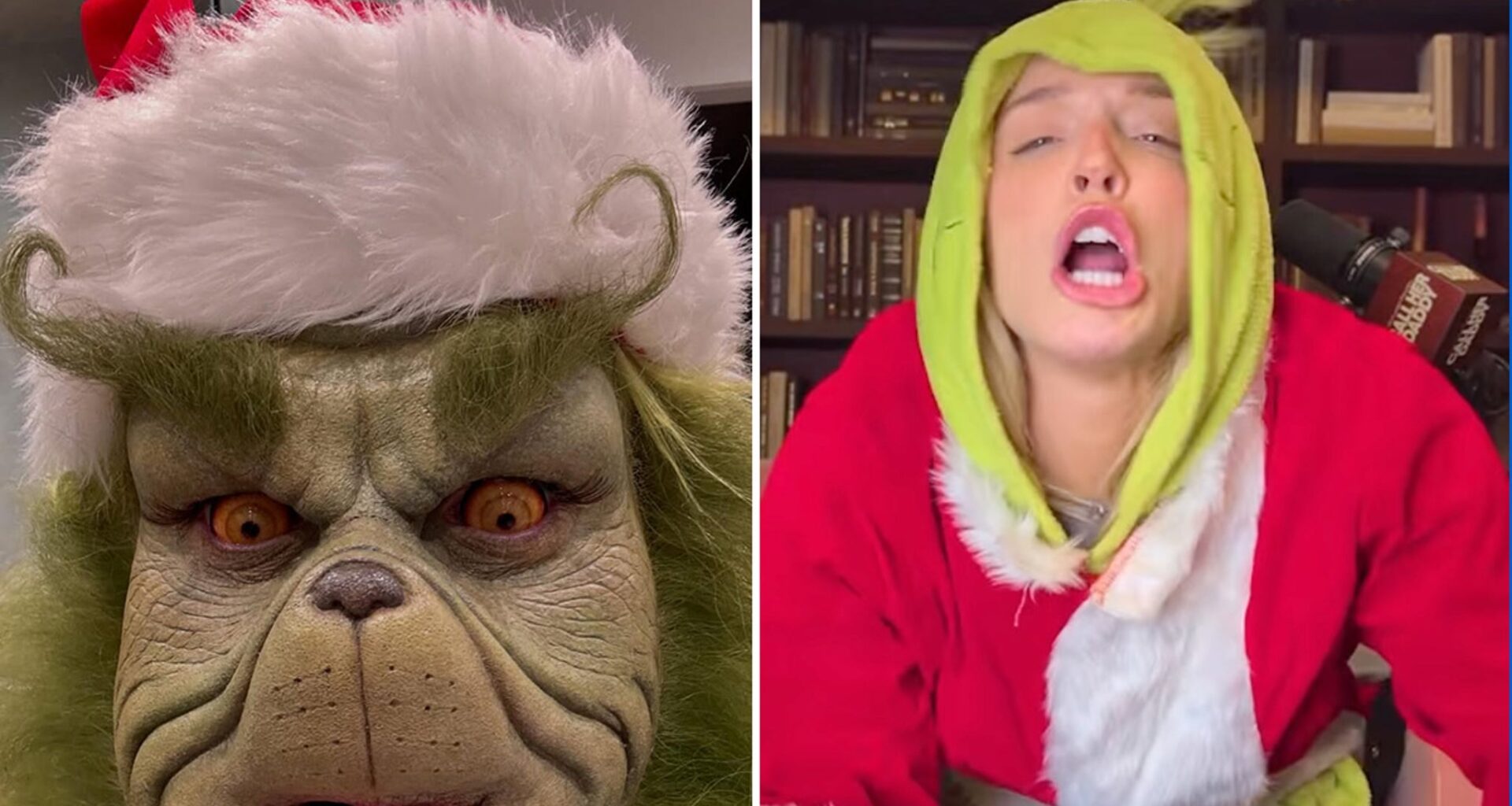 Look Out, Whoville! Hollywood Celebrities Who Can't Get Enough Of The Grinch!