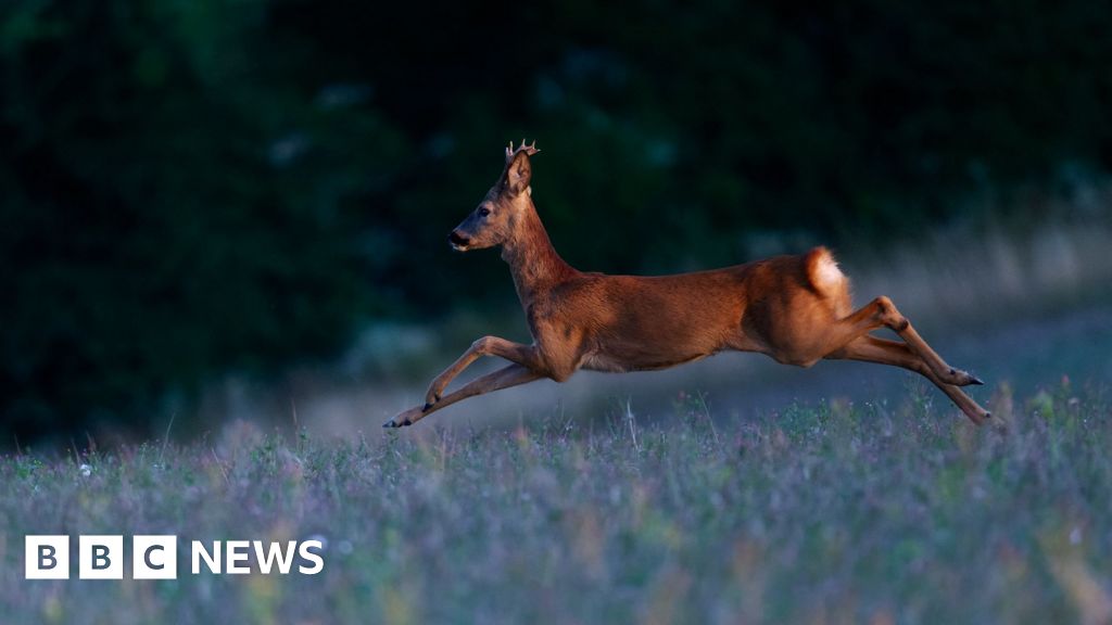 West Midlands photographers reveal their perfect moments of 2025