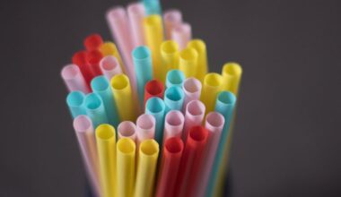 Government suspending ban on single-use plastic exports