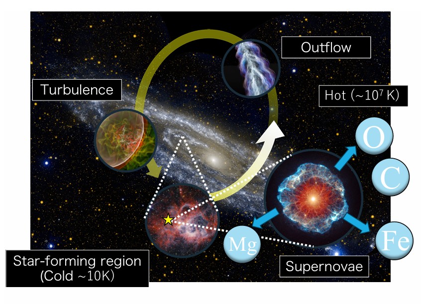 Supernovae drive turbulence and outflow in the gas dynamics of a galaxy. It is not enough to simply model the stars and dark matter, but also take this into account when modelling the gas distribution.