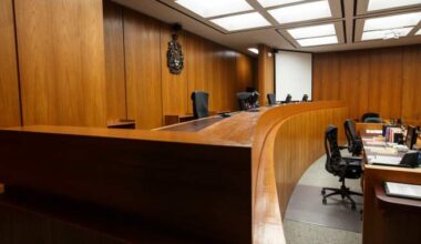 AI use in Canadian courtrooms carries risk of errors, penalties: lawyers - National