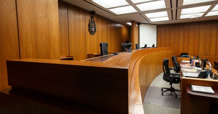AI use in Canadian courtrooms carries risk of errors, penalties: lawyers - National