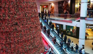 Canada has become a nation of charity grinches